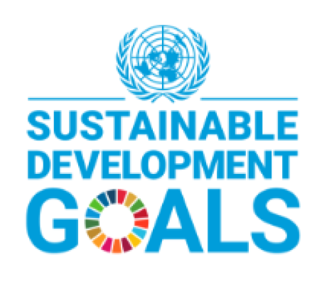 sustainable development goals logo